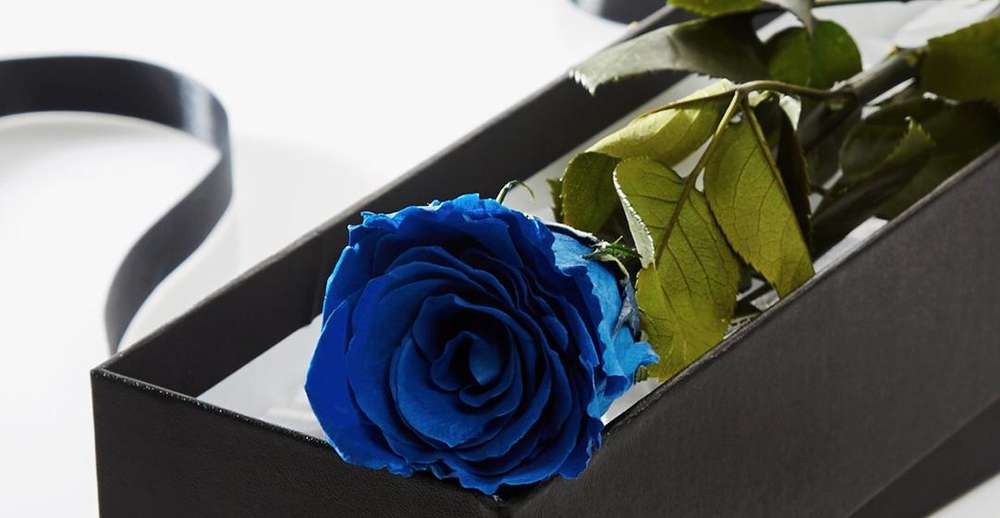 Send Your love Everlasting Roses