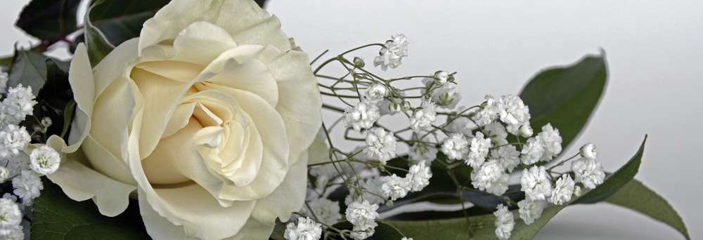 Scatter Memorial petals