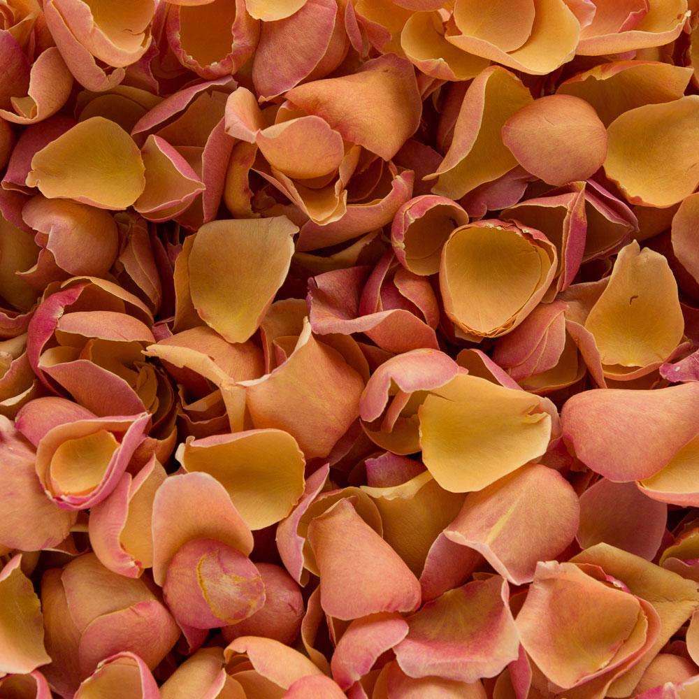 Burnt gold petals
