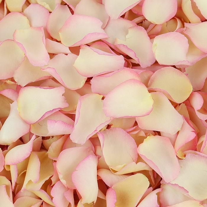 Scatter Memorial petals