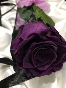 purple rose