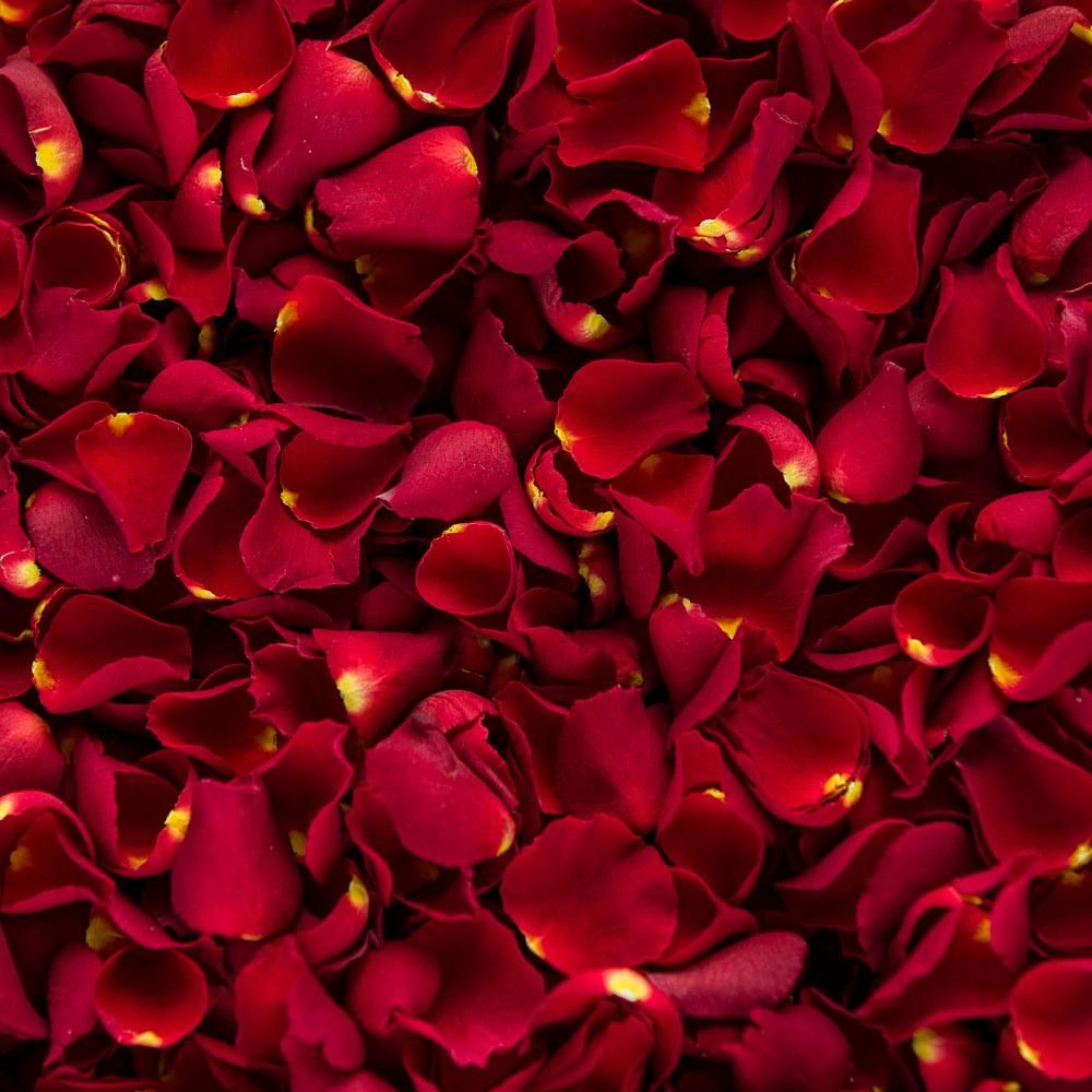 Romantic Touch