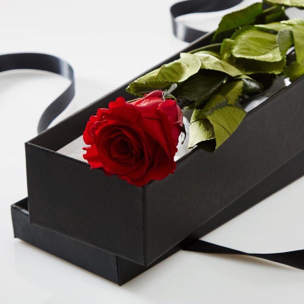 Everlasting Roses