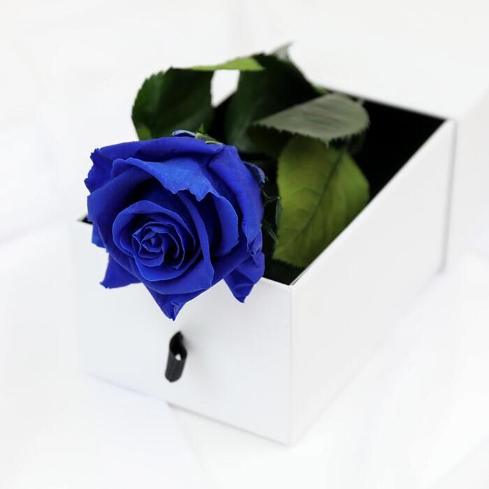 Royal Blue Rose in a Box