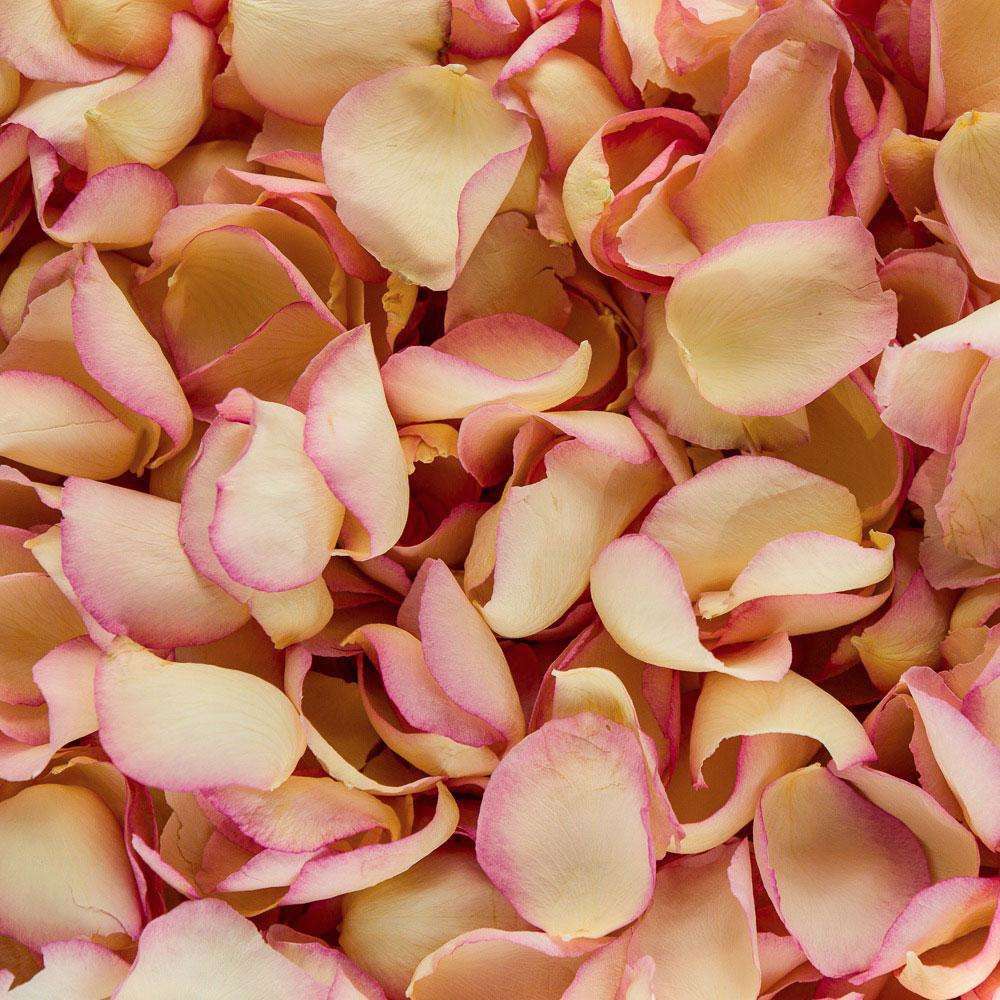 Rose petal confetti